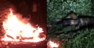 Tá hỏa phát hiện thi thể người phụ nữ cháy đen trong công viên ở miền Tây