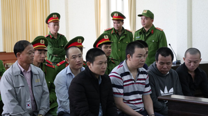 Đầu độc 10 ha rừng thông, 7 bị cáo lĩnh án tù