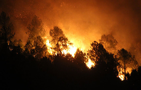 Rừng ở Nghệ An, Hà Tĩnh rừng rực cháy trong đêm 