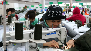 Hơn 29.000 doanh nghiệp tạm ngừng hoạt động trong quý 2/2020