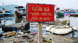 Kinh hãi rác thải hôi thối, bủa vây âu thuyền Thọ Quang ở Đà Nẵng