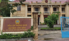 Can thiệp để mẹ vợ bao chiếm đất rừng, Chánh án TAND huyện Côn Đảo bị kỷ luật