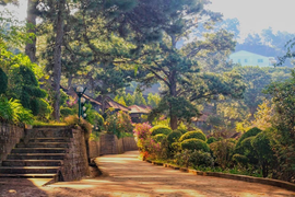 Đà Lạt tháng 12