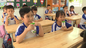  TP.HCM triển khai uống sữa học đường an toàn, hiệu quả sau dịch