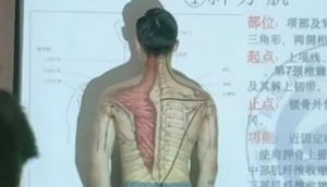 Thầy giáo cởi áo để minh họa cho bài giảng