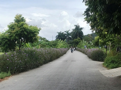 Truy tìm hai kẻ bịt mặt chém trọng thương cán bộ phường ở Hải Phòng