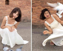 Người đẹp mất vía khi chụp ảnh với bồ câu