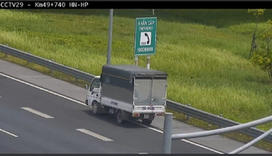 Lái xe đi lùi trên cao tốc, nữ tài xế Hải Phòng bị phạt 17 triệu đồng