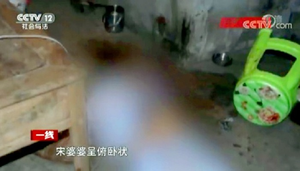 Lật bộ mặt nghịch tử giết mẹ để hưởng gói tiền bảo hiểm