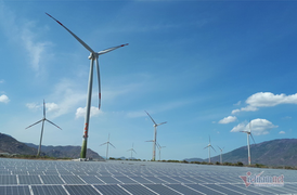 Doanh nghiệp đua nhau bỏ vốn vào điện gió, điện mặt trời