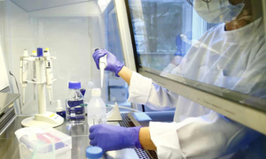 Số ca mắc COVID-19 tăng đột biến: Phòng xét nghiệm Mỹ quá tải