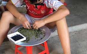 Chồng xin đi ăn sáng với bạn, vợ bắt ngồi nhặt đậu