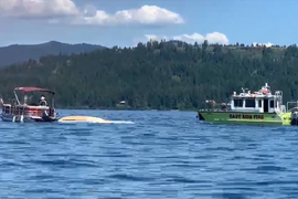 2 máy bay lao vào nhau ở Mỹ, 8 người thiệt mạng 