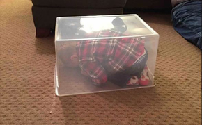 Bé yêu 'giấu đầu hở đuôi' khi chơi trốn tìm