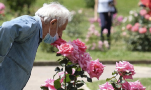 Cực hình đối với bệnh nhân mắc COVID-19: Mất khả năng cảm nhận mùi