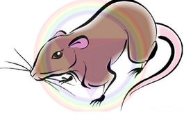 Tử vi 12 con giáp ngày 6/7: Tuổi Tý bị sếp 'xoay như chong chóng'