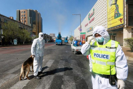 Phát hiện ca bệnh nghi dịch hạch, Trung Quốc đưa ra cảnh báo y tế cấp độ 3