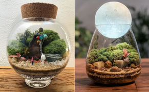 'Nhốt' vườn cây vào chai thuỷ tinh, 2 cô gái nổi danh trên mạng