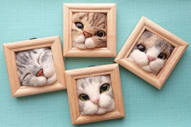 'Mèo béo mắc kẹt trong khung ảnh' - bộ sưu tập khiến dân mạng 'chết mê'