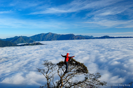 Chinh phục đỉnh Tà Xùa - 'sống lưng khủng long' giữa biển mây hùng vỹ