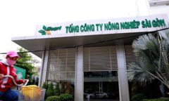 Sagri đang kinh doanh thế nào?