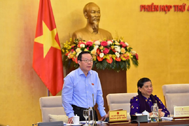 'Thi người đẹp vừa qua loạn quá, dễ trở thành ngành kinh doanh béo bở'