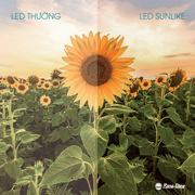 LED SunLike: Công nghệ chiếu sáng tương lai bảo vệ đôi mắt người dùng