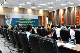 Ứng dụng chỉnh sửa gen trong nhân giống và cải tiến cây trồng ở Việt Nam