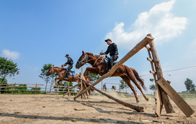 Cận cảnh kỵ binh CSCĐ thuần dưỡng ngựa nơi thao trường đầy nắng gắt