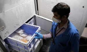 COVID-19: Xuất hiện ‘chợ đen’ huyết tương từ bệnh nhân hồi phục ở Ấn Độ