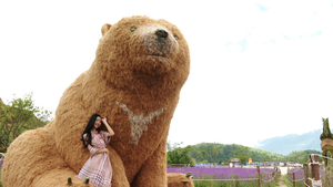 Giải mã điểm đến triệu like Sa Pa, quả thực không đi thì sẽ hối tiếc vô cùng