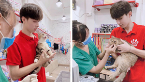 10X điển trai được mệnh danh 'hotboy ôm mèo' khiến dân mạng mê mệt