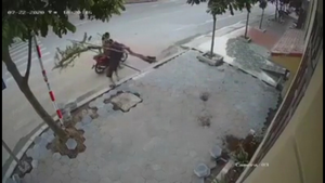 Đôi nam nữ trộm cây trước cửa nhà dân giữa ban ngày ở Hải Dương