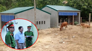 Bắt giám đốc doanh nghiệp ở Nghệ An liên quan đề án trăm tỷ hỗ trợ dân tộc Ơ Đu
