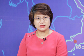 Các trường đại học ở Việt Nam tiếp nhận du học sinh mắc kẹt thế nào?