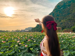 Đầm sen Hang Múa đẹp như tiên cảnh, giới trẻ đua nhau check in 'sống ảo'