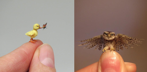 Biệt tài 'thu nhỏ' các loài động vật của nữ nghệ nhân Hungary 