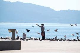 Đà Nẵng vắng lặng trong ngày đầu giãn cách xã hội 