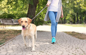 Bạn có thể đốt cháy 200 calo dễ dàng với 18 hoạt động này