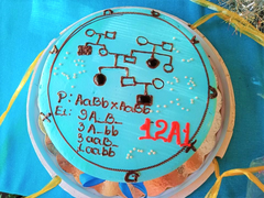 Bánh kem vẽ sơ đồ phả hệ của học sinh Trà Vinh khiến dân mạng thích thú