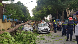 Cành cây cổ thụ trong bệnh viện 108 gãy, đè trúng 3 ô tô 