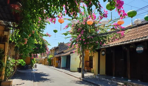 COVID-19 ‘đóng băng’ Hội An, gia đình tôi lại một lần nữa lao đao