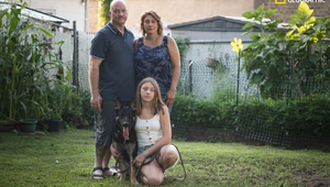 Con chó đầu tiên nhiễm nCoV ở Mỹ chết