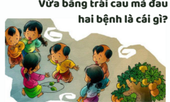 Cái gì vừa bằng trái cau mà đau 2 bệnh?