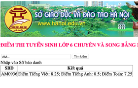 Tra cứu điểm thi vào lớp 6 trường Amsterdam Hà Nội