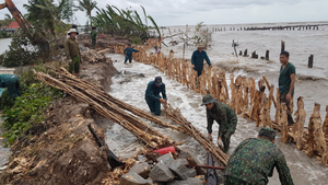 Kiên Giang huy động hàng trăm chiến sĩ khắc phục sạt lở đê Quốc phòng