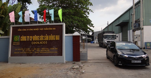 Doanh nghiệp chăn nuôi, sản xuất thịt lợn lãi đậm