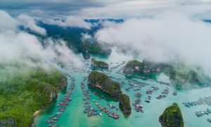 Hải Phòng đề nghị doanh nghiệp du lịch hoàn kinh phí cho khách hủy tour