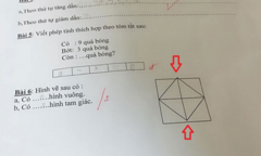  Bài toán đếm hình trò khăng khăng đúng, cô giáo gạch sai và kết quả đầy bất ngờ