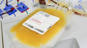 Dùng huyết tương người khỏi bệnh điều trị cho bệnh nhân COVID-19